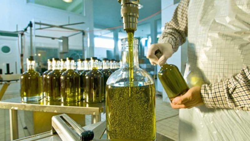 زيت الزيتون