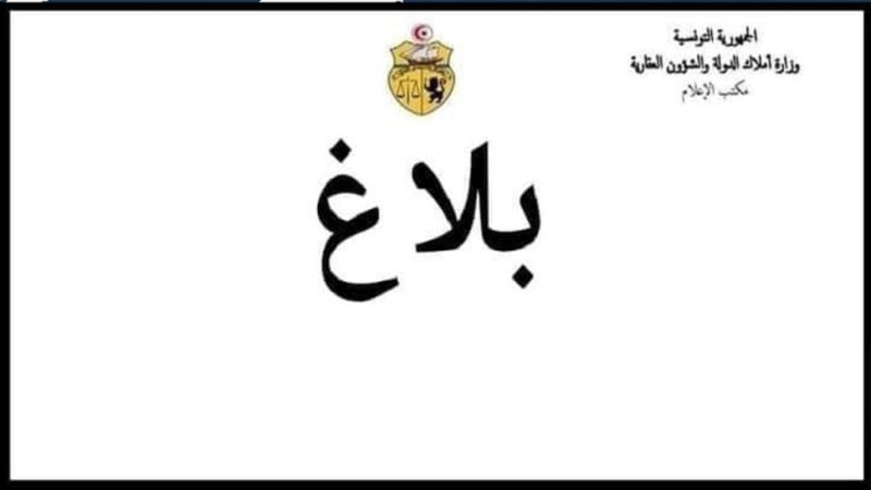 وزارة أملاك الدولة