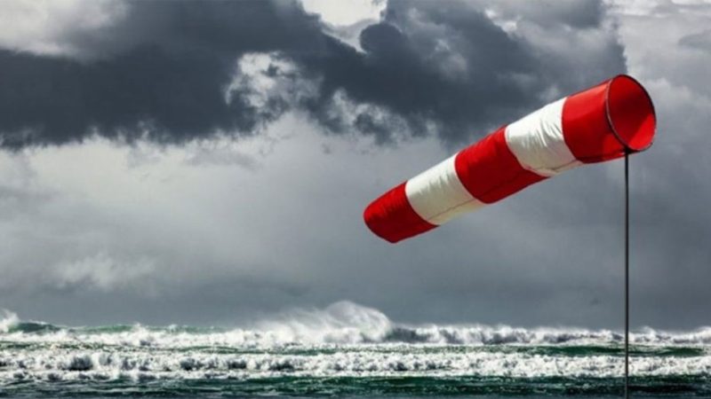 وزارة الفلاحة