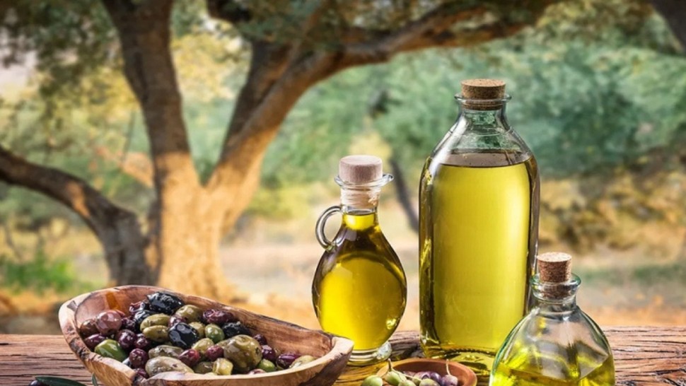 استبيان وطني للنهوض بقطاع زيت الزيتون