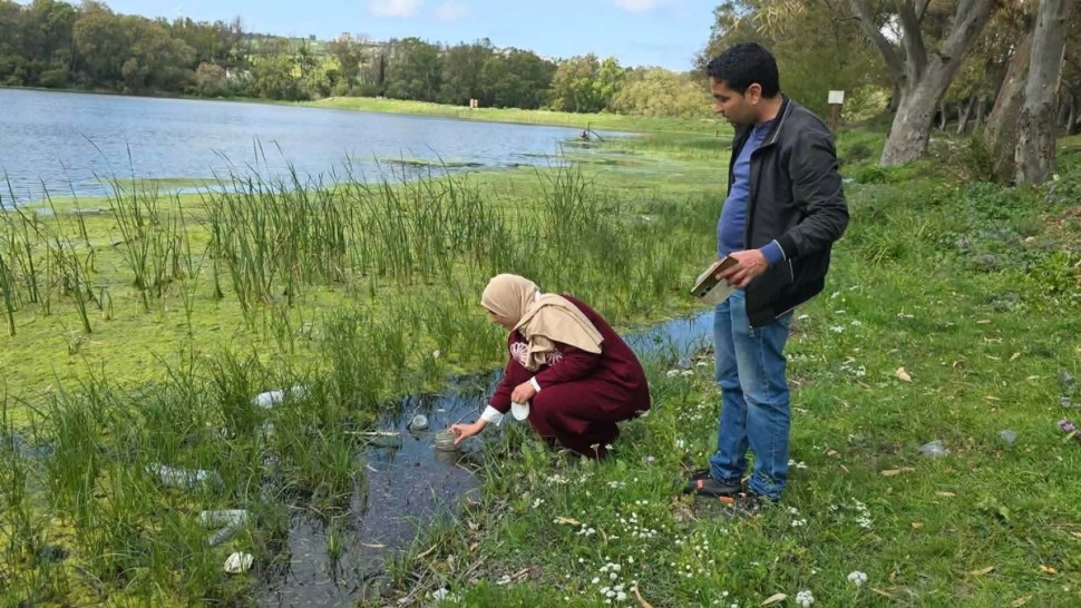 بنزرت/ مكافحة بيولوجية للبعوض في السدود والبحيرات