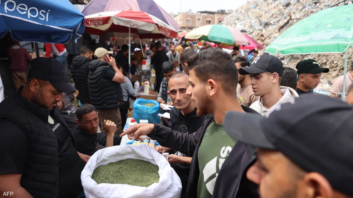 من المطبخ إلى التدخين.. الملوخية بديل السجائر في غزة