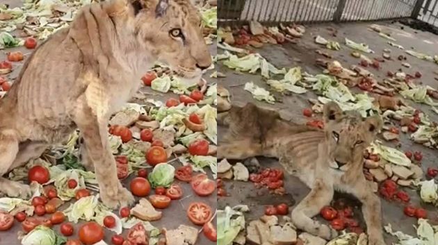 حديقة عرباطة