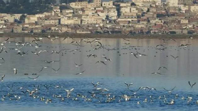 سبخة السيجومي