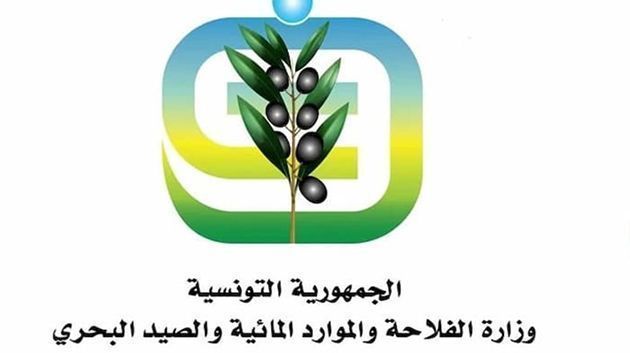 وزارة الفلاحة تحذر من مرض “الميلديو” في حقول البطاطا والطماطم