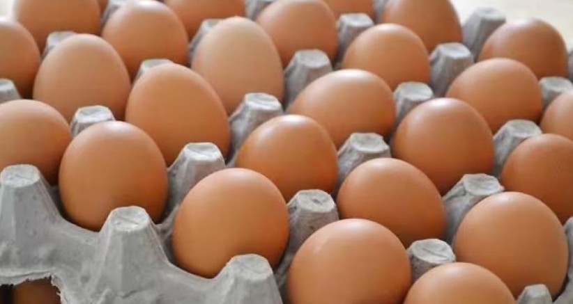 تحذيرات من بيع بيض عشوائي في نابل
