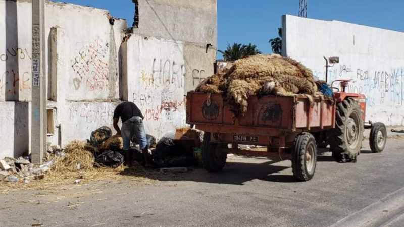 جلود الأضاحي