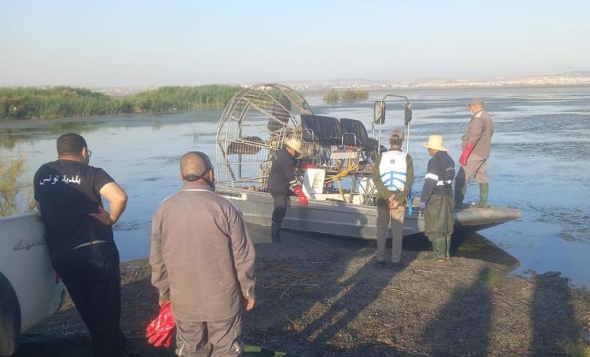 إجراءات ميدانية مكثفة لمكافحة الحشرات بسبخة السيجومي
