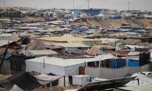 article-thumb