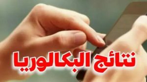 article-thumb