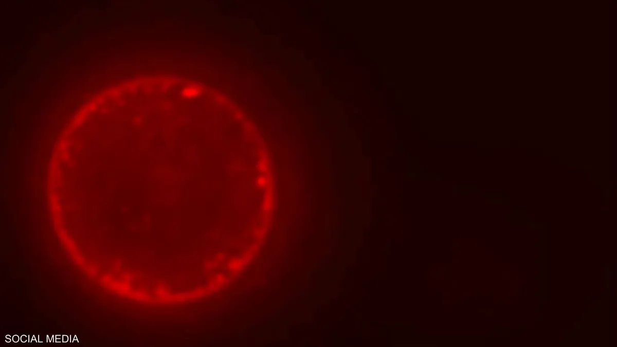 سابقة.. علماء يطورون خلية اصطناعية قد تغير مستقبل الطب