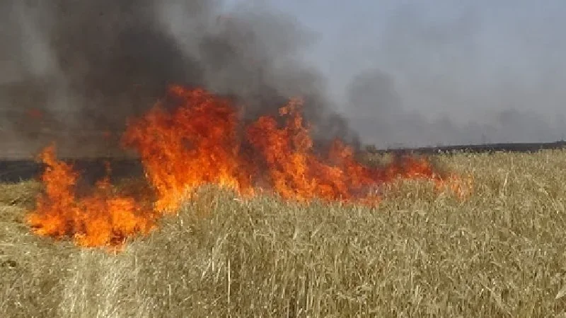 حريق