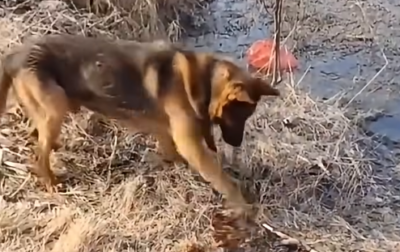 article-thumb