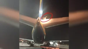 article-thumb