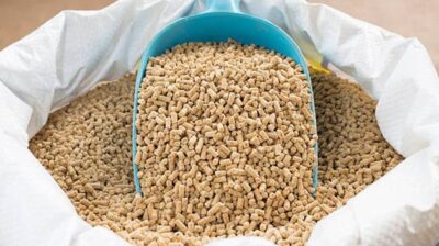 article-thumb