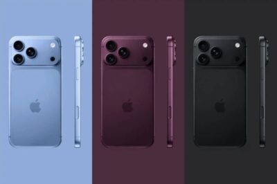 article-thumb