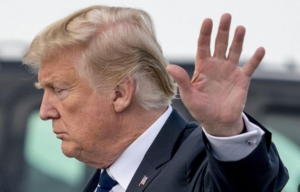 article-thumb