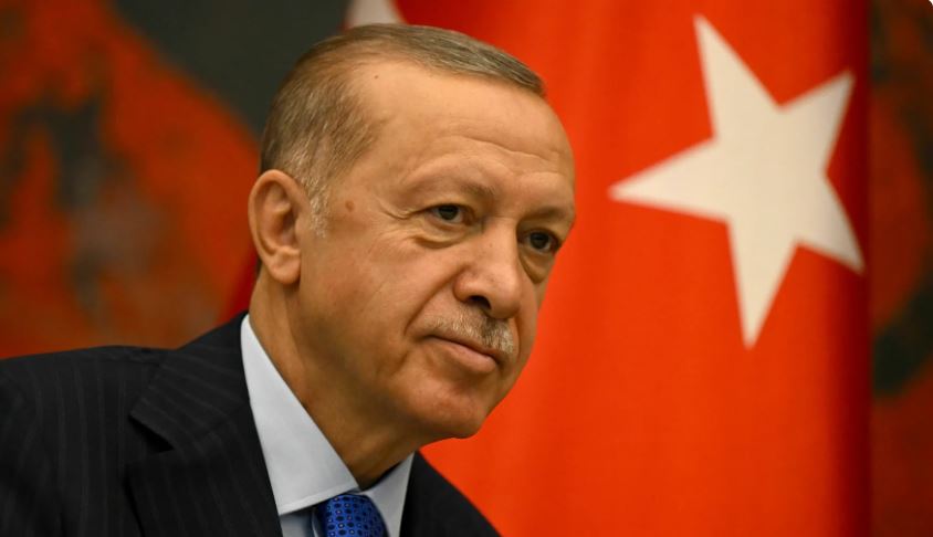 تركيا/ إمكانية إجراء انتخابات مبكرة تتيح لأردوغان الترشح
