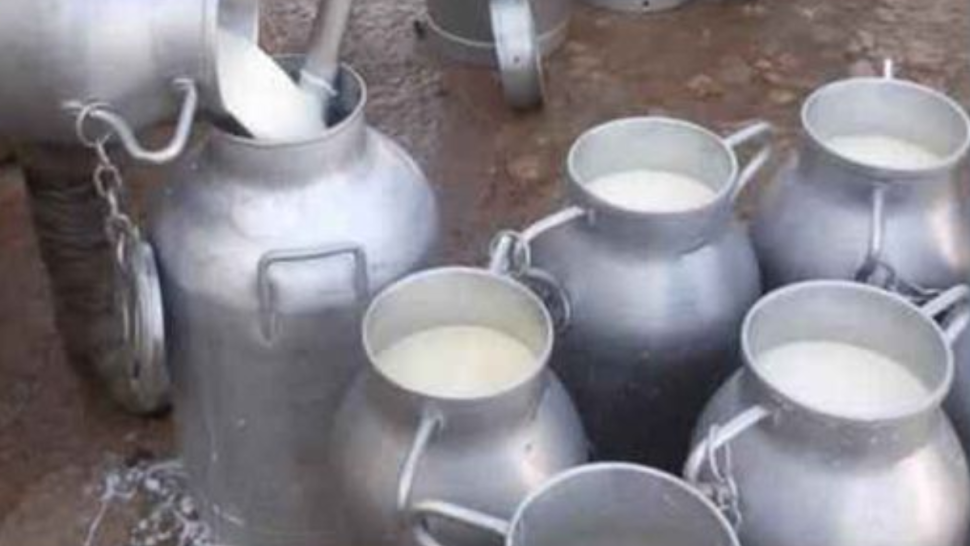 غلق 5 مراكز لتجميع الحليب في سيدي بوزيد.. السبب